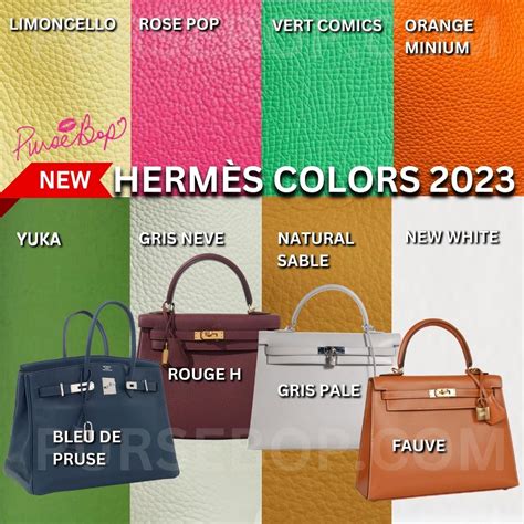 hermes bag gold color|hermes luggage color chart.